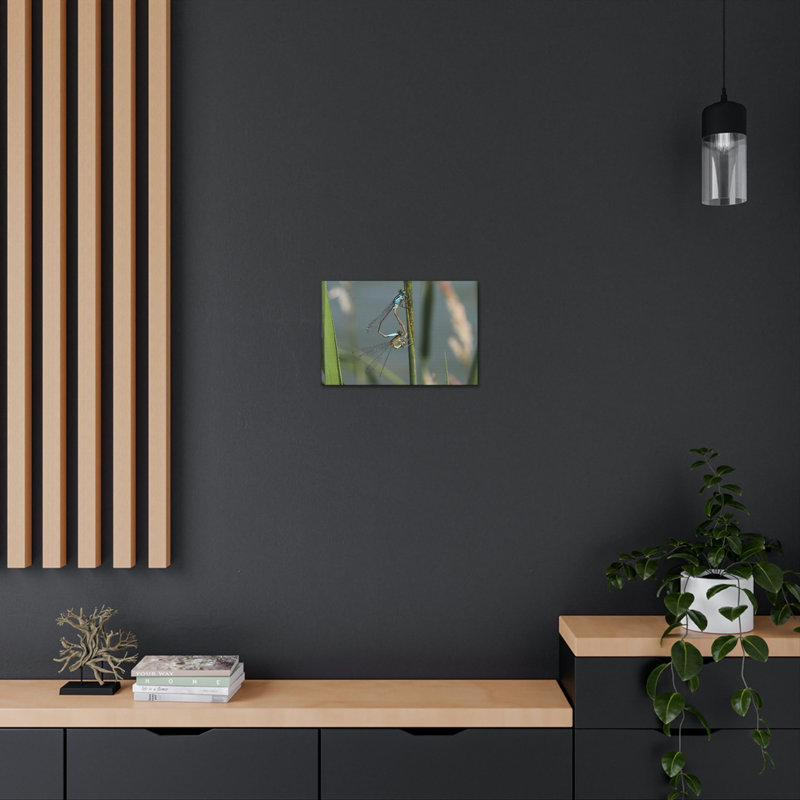 Couple de libellules sur une plante, reproduction d'art mural