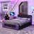 Mauve, noir