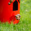 Cabane à oiseaux de jardin Klem-1155356107