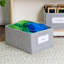 EdQ Essentials-59132006