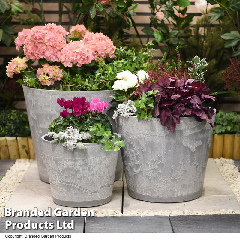 Ceasar Pot Planter, 42cm H x 50cm W x 50cm D