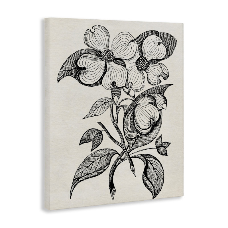 Coupe classique de toile de cornouiller, design par Karen Smith, H 48 po x l 36 po