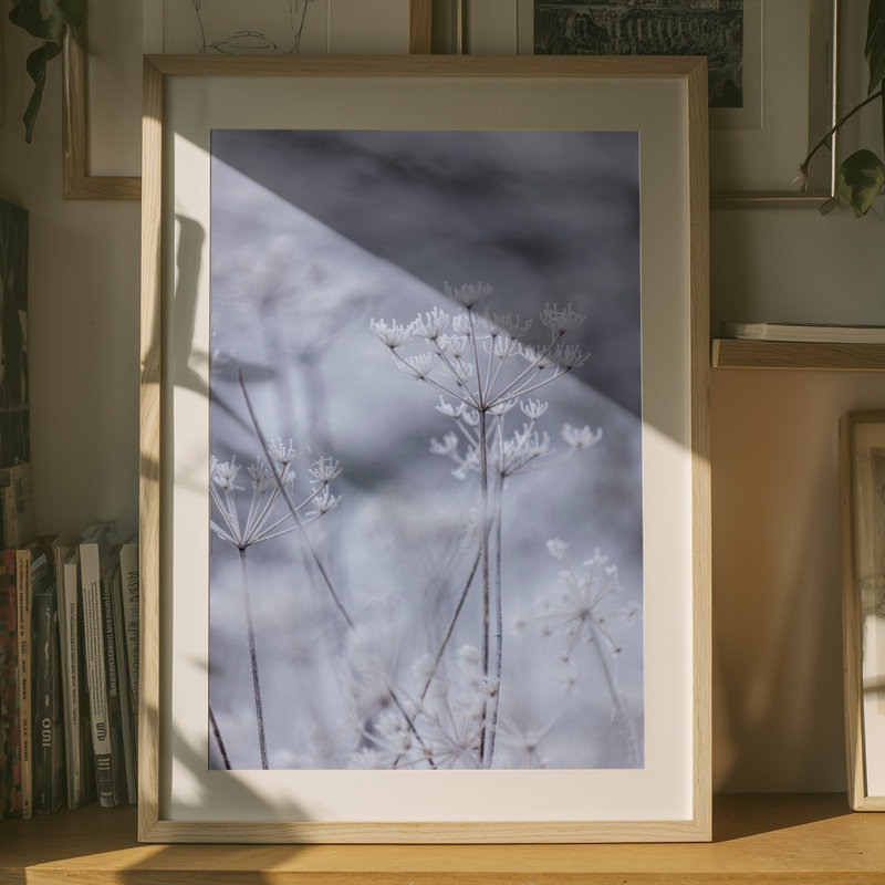 Wrapped Canvas Print, 76.2cm H x 50.8 cm W