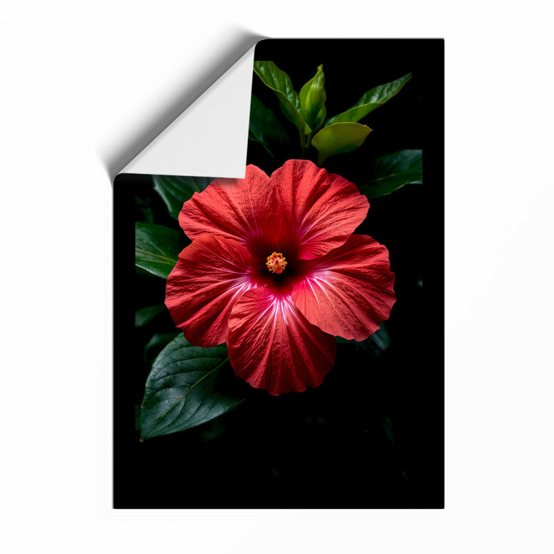 Glowing Hibiscus Botanical - Framed Print, A3 - 42.0 x 29.7 cm, Unframed
