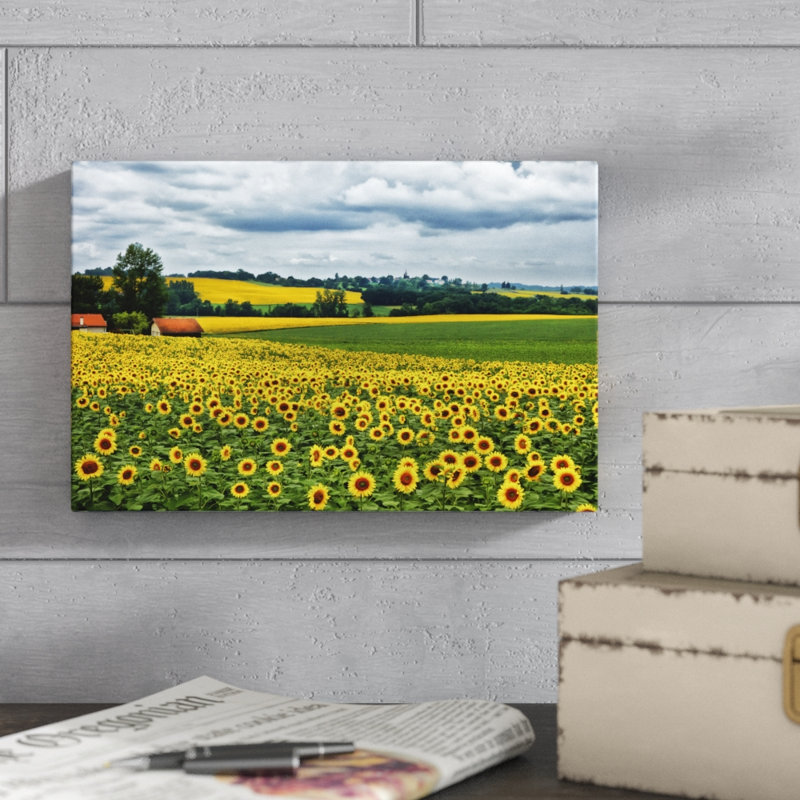 «Pastoral Countryside IV», photographie sur toile, H 8 po x l 12 po