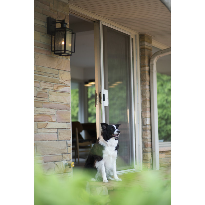 Stumbaugh Seeded Glass Motion Sensor Wall Light, 15.5" H x 7.2" W x 10.2" D