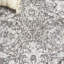 Tapis performance d'automne 505-1758384521