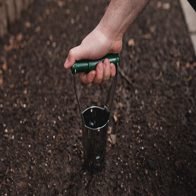 Accessoire pour outil de plantation d'ampoules Hitton
