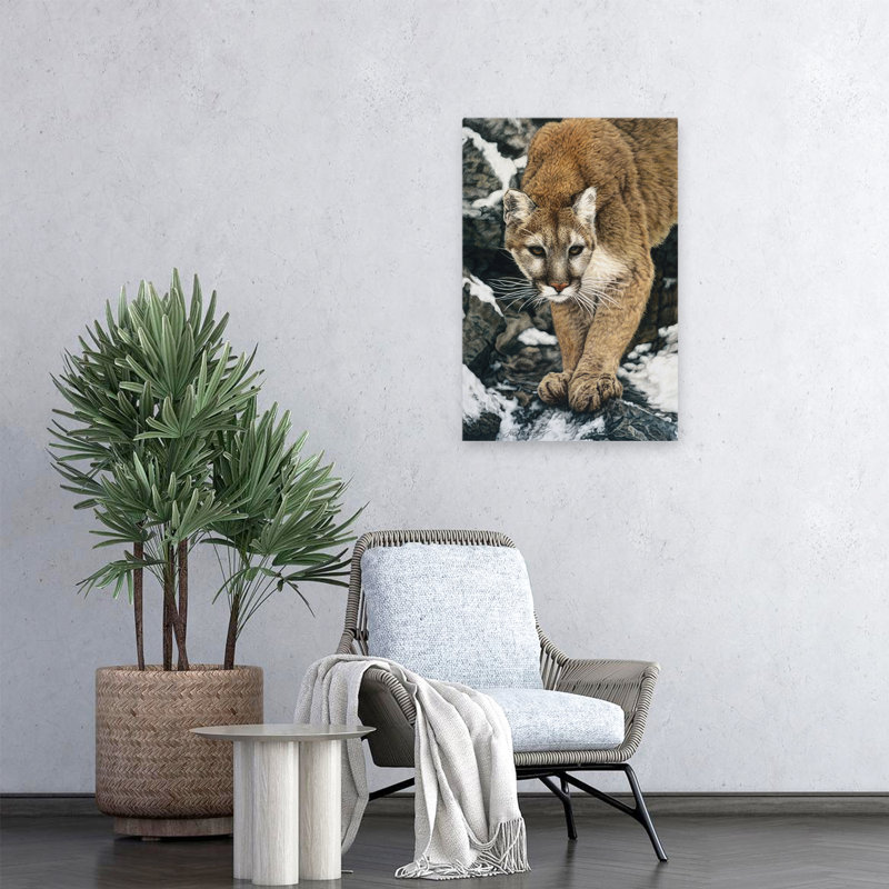 Approche silencieuse - animaux, chats, neige, hiver, H 24 po x l 16 po