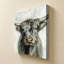 Vache Highland-1637911681