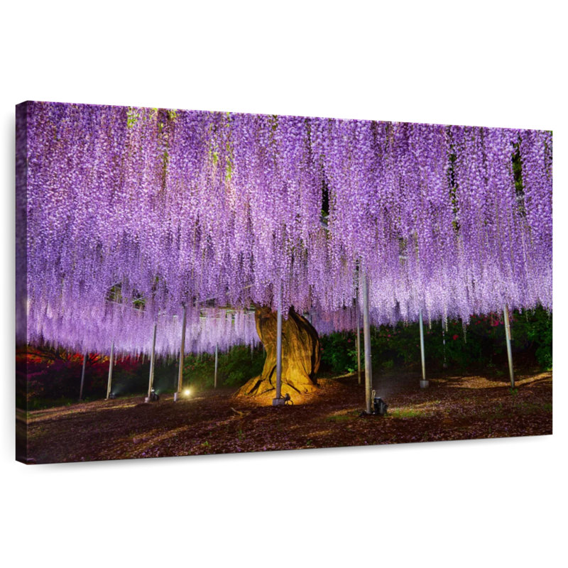 Harnek Wisteria mauve élégant, H 30 po x l 45 po