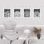 Cactus succulent noir et blanc en niveaux de gris Southwest-97782361-97782364