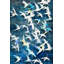 Soaring High Print by Sofia Fox-25707310-25707311
