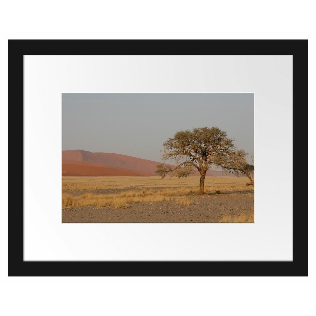 Gerahmtes Poster Einzelner Baum in Wüste