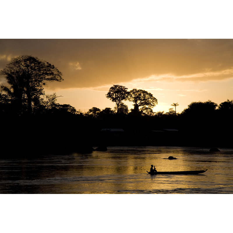 Suriname Nature by BartCo - No Frame Art Prints on Canvas, 30cm H x 46cm W