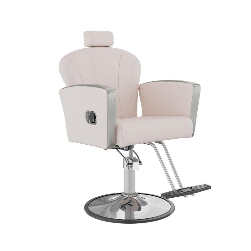 Salon Chair For Hair Stylist,Barber Chair For Home Barbershop With Professional Hydraulic Pump -White/Silver, White, Silver