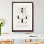 Beetle Illustrations PL.13 by Charles D'Orbigny - Single Picture Frame Print-55544108-55544112