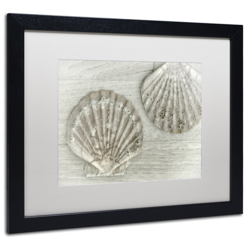 «Two King Scallop Shells», reproduction de photo sur toile encadrée, H 11 po x l 14 po x P 0,5 po, Noir