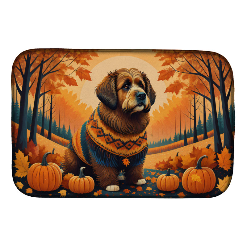 Drying Mat