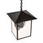 Luminaire suspendu lanterne artisanale 1 lumière Averylynn