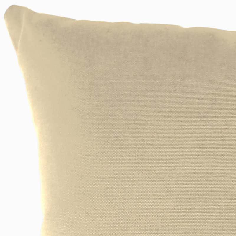 Sunbrella Outdoor Throw Pillow, Canvas Antique Beige