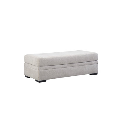 Repose-pieds de rangement rectangulaire de 54,5 po Aundreia