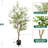 Artificial Olive Tree with Planter Natural Olive Branches