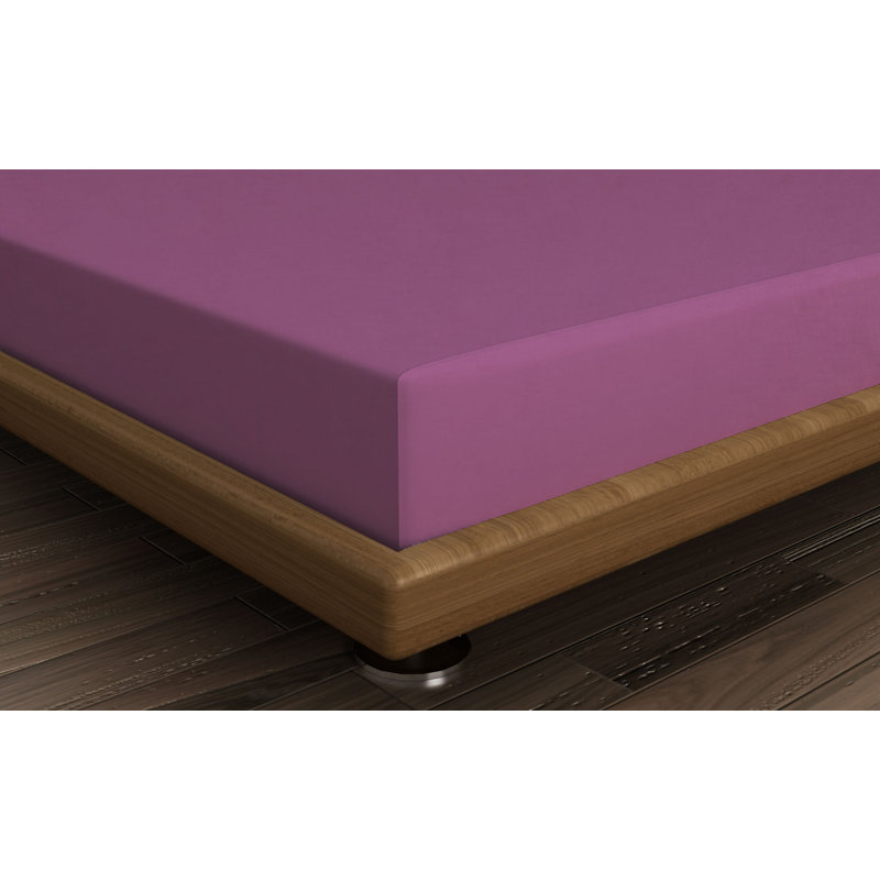 Drap-housse simple 100% coton Ranforce, protection antibactérienne, 35,4 x 74,8 + 9,8 | Lavable à la machine à 86 ° F, 142 fils, couleur prune | Doux, durable et confortable pour un sommeil réparateur