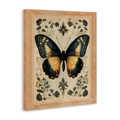 Vintage Butterfly Botanical Illustration Canvas, design by Arlington Prints