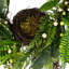 Couronne de printemps artificielle verte et brune avec nid - 24 pouces
