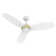 Demitro 3 Blades Smart DC Motor Ceiling Fan with LED light, Remote Control