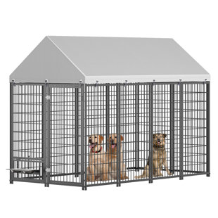 Grand enclos extérieur pour chien