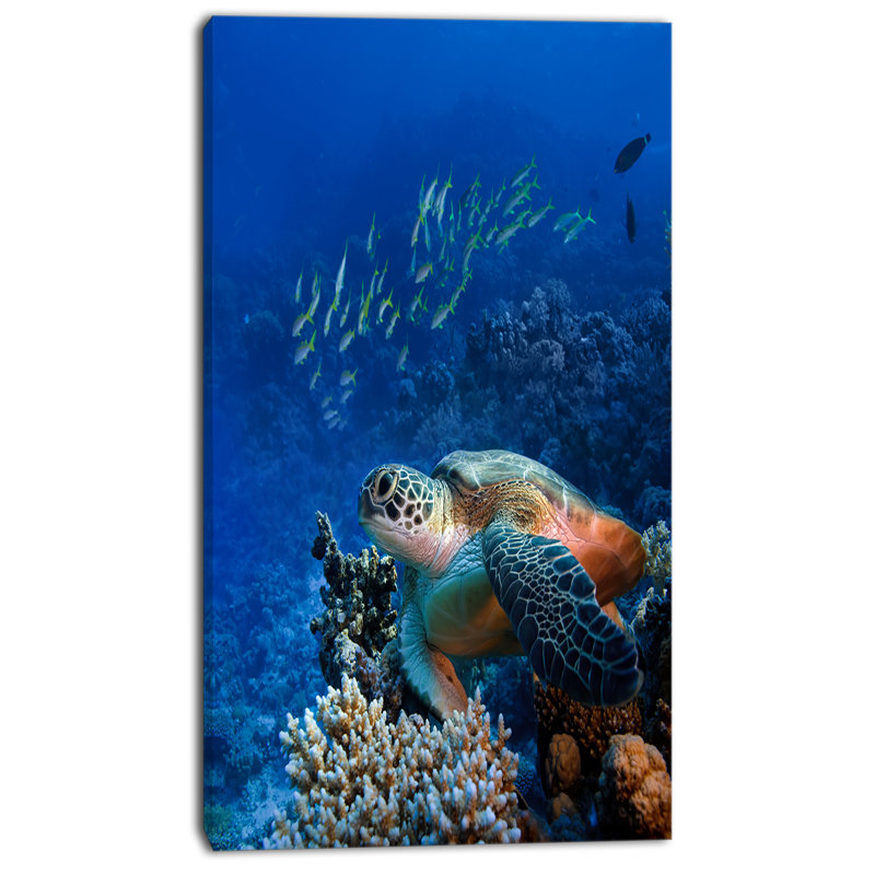 Tortue de mer océan, art mural sur toile - Tortue de mer, H 40 po x l 30 po x P 1 po, Toile tendue