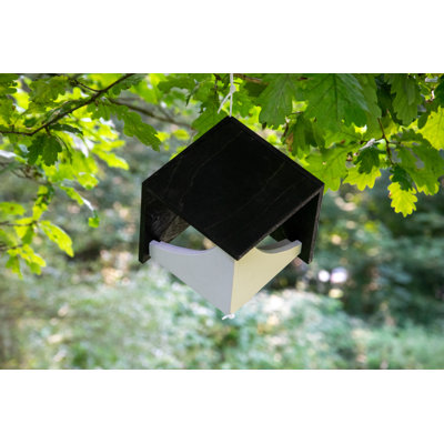 Amardev Wood Hanging Decorative Bird Feeder