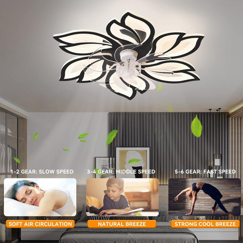 Ventilateur de plafond de 25,5 pouces avec lumières, télécommande, 3 températures de couleur, 6 réglages de vent