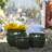 3 Pieces Ceramic Flowerpot, Modern Planter for Patio, Garden or Windowsills-2006330902