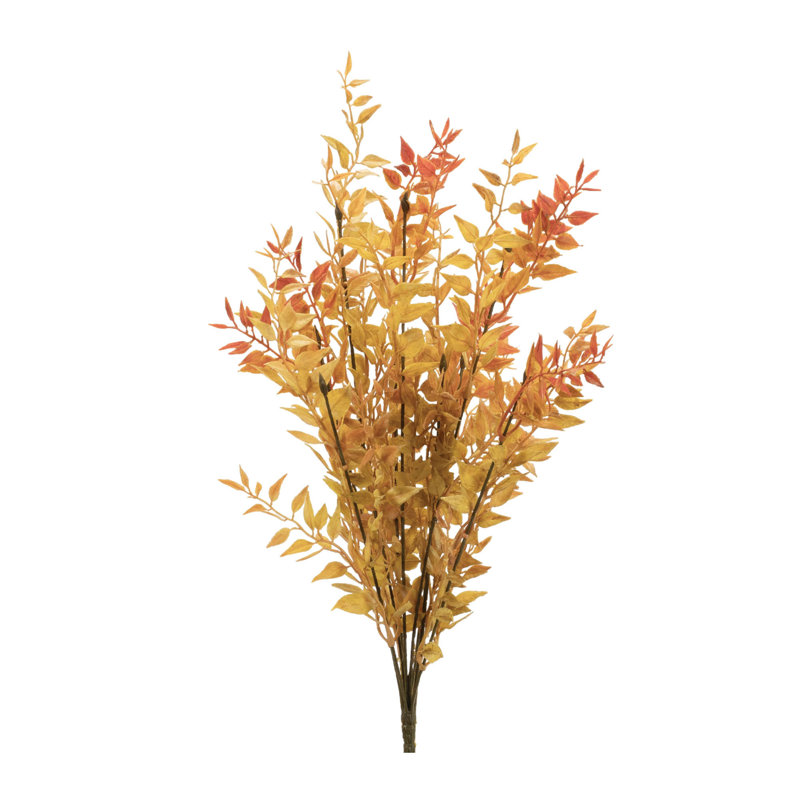 Fall Foliage Bush