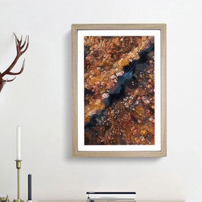Forest in Piedimonte Matese Italy - Framed Print