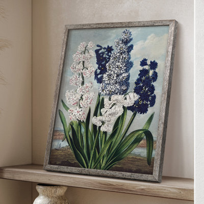 Temple of Flora XII Framed Print - Solid Wood
