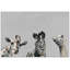 «The Head Turners In Grey», reproduction sur toile encadrée-2013336569