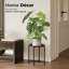 Support pour plantes d'intérieur, table haute pour plantes d'extérieur, tabouret pour plantes noir
