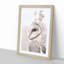 Watchful Barn Owl Bird - Picture Frame Graphic Art Print-55761492-55761493