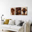 3 Piece Wrapped Canvas Wall Art