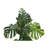 Artificial Plant