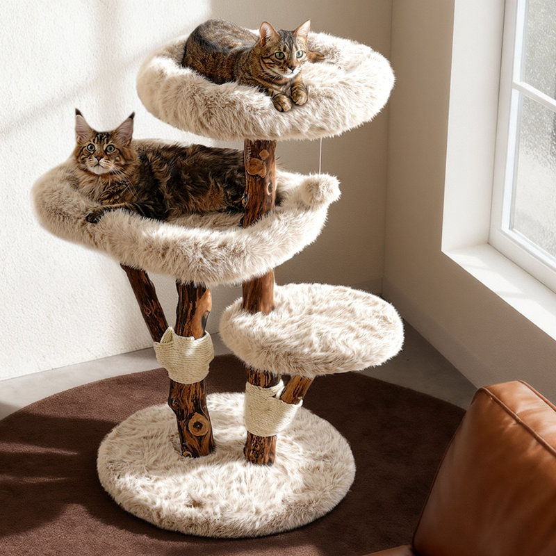 Arbre à chat en bois massif pour grands chats