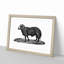 Sheep Illustration - Picture Frame Drawing Print-55619117-55619123