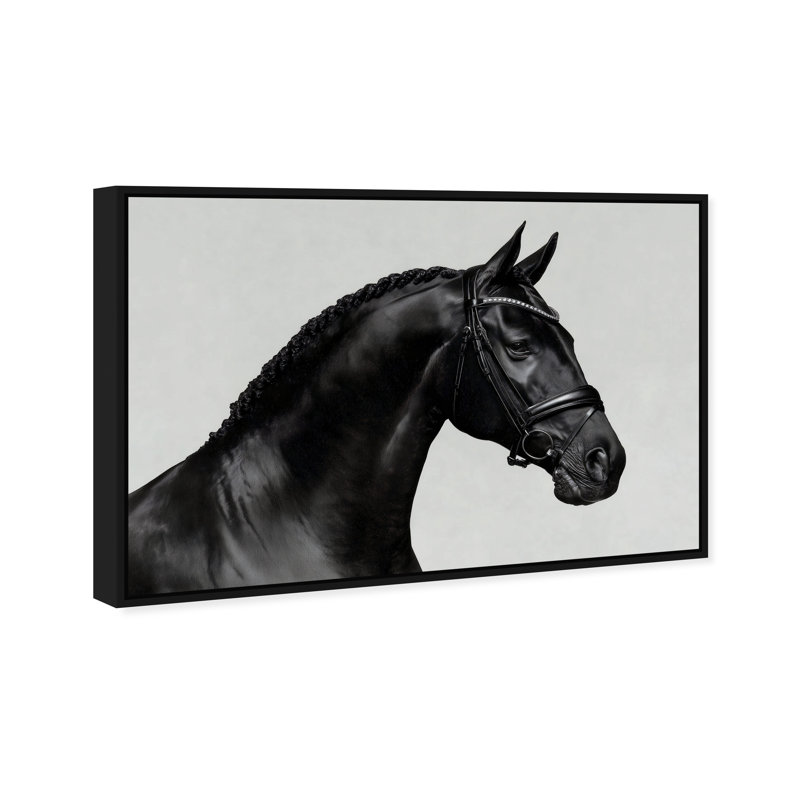 Midnight Majesty I Print by Oliver Gal, 16"H x 11"W, Black Floater Frame