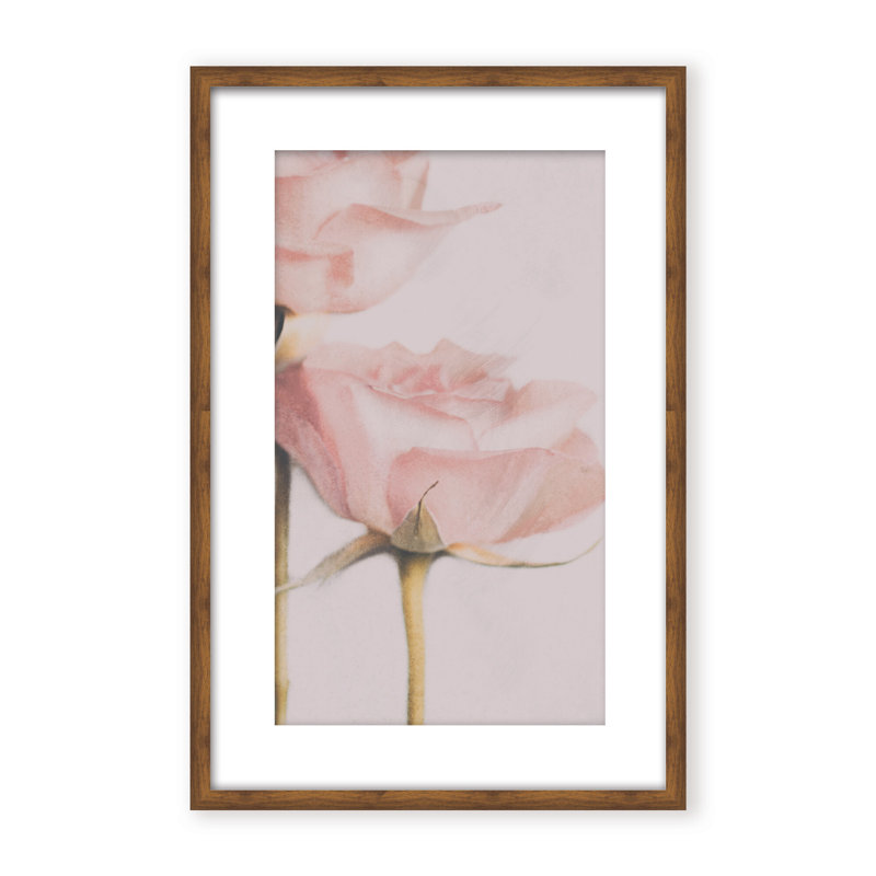 Nature Inspired Two Roses by  - Picture Frame Photograph on Paper, 48" H x 32" W x 1.125" D, Black, Framed Matted Print
