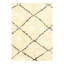 Geometric Area Rug in Beige
