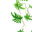 Hanging Plants 100cm Faux Philodendron Plant